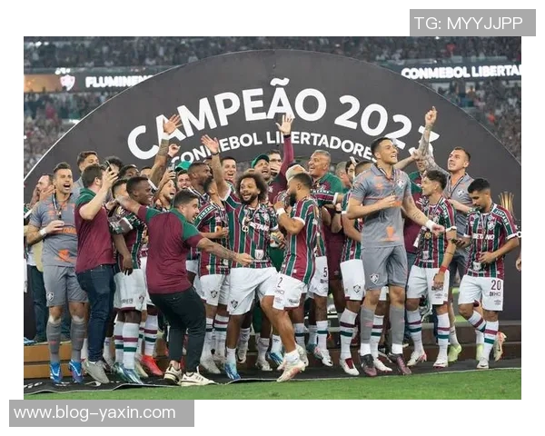 南美解放者杯决赛球队的巴西统治力近十年显著体现